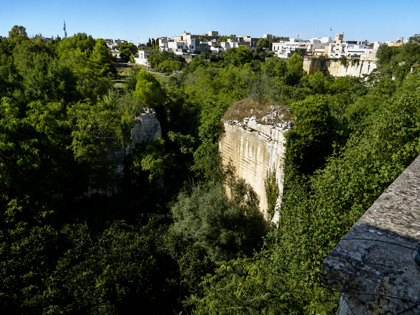 Foresta Urbana Lecce, veduta della ex cava di pietra leccese